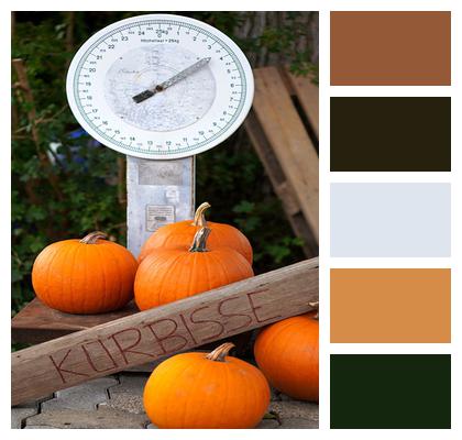 Vegetables Weighing Scale Pumpkins Image